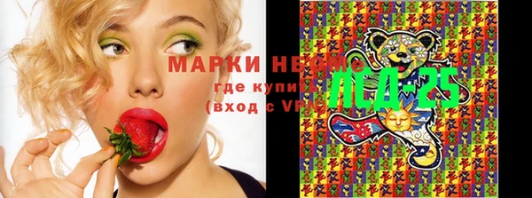 стафф Горно-Алтайск