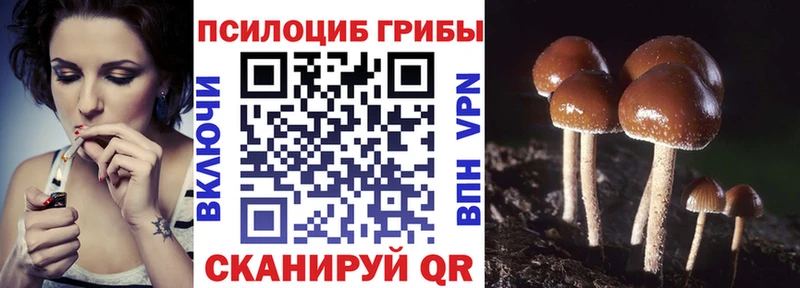 Купить где  Камень-на-Оби  Галлюциногенные грибы MAGIC MUSHROOMS 
