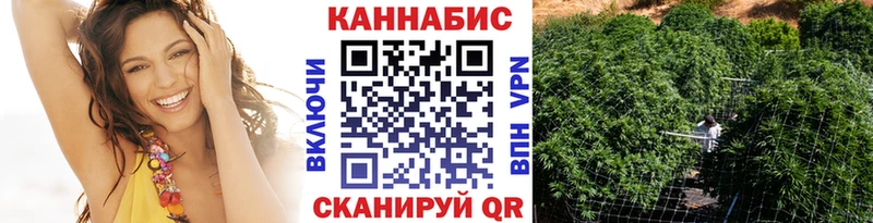 Купить  Камень-на-Оби  МАРИХУАНА SATIVA & INDICA 